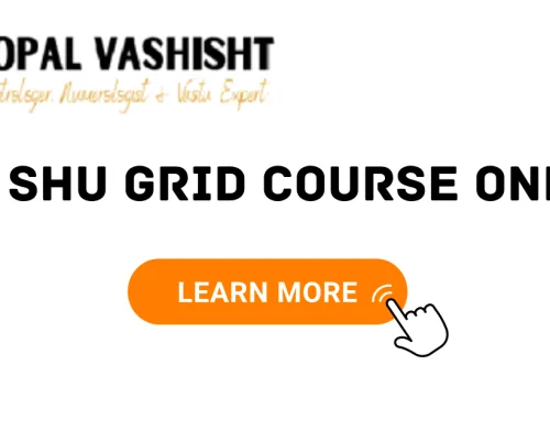 Learn Lo Shu Grid Course Online