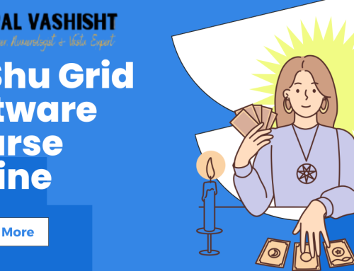 Lu Shu Grid Software Course Online: Gopal Vashisht