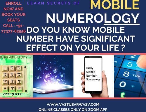 NUMEROLOGY COURSE IN MALVIYA NAGAR