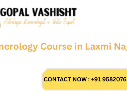 Numerology Course in Laxmi Nagar