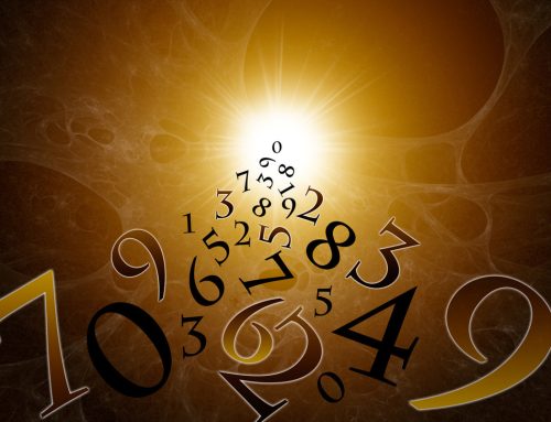 Numerology Course in Hauz Khas